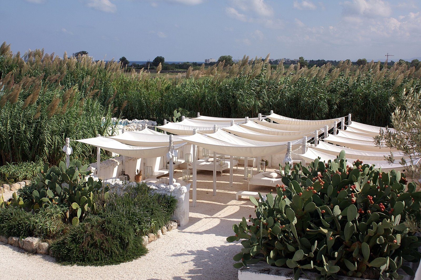A whitewashed masseria patio near Savelletri