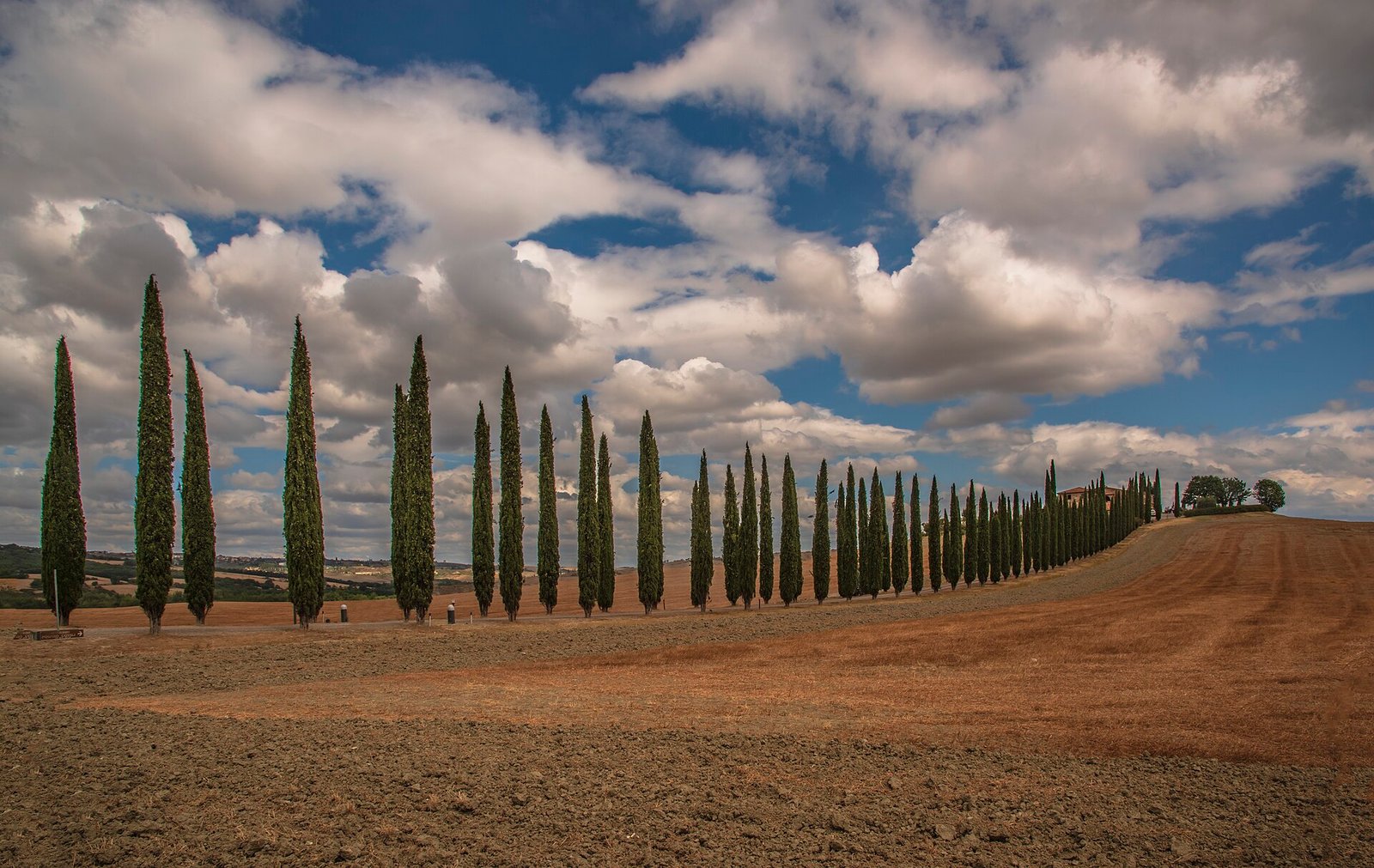 Cypress-lined road in southern Tuscany