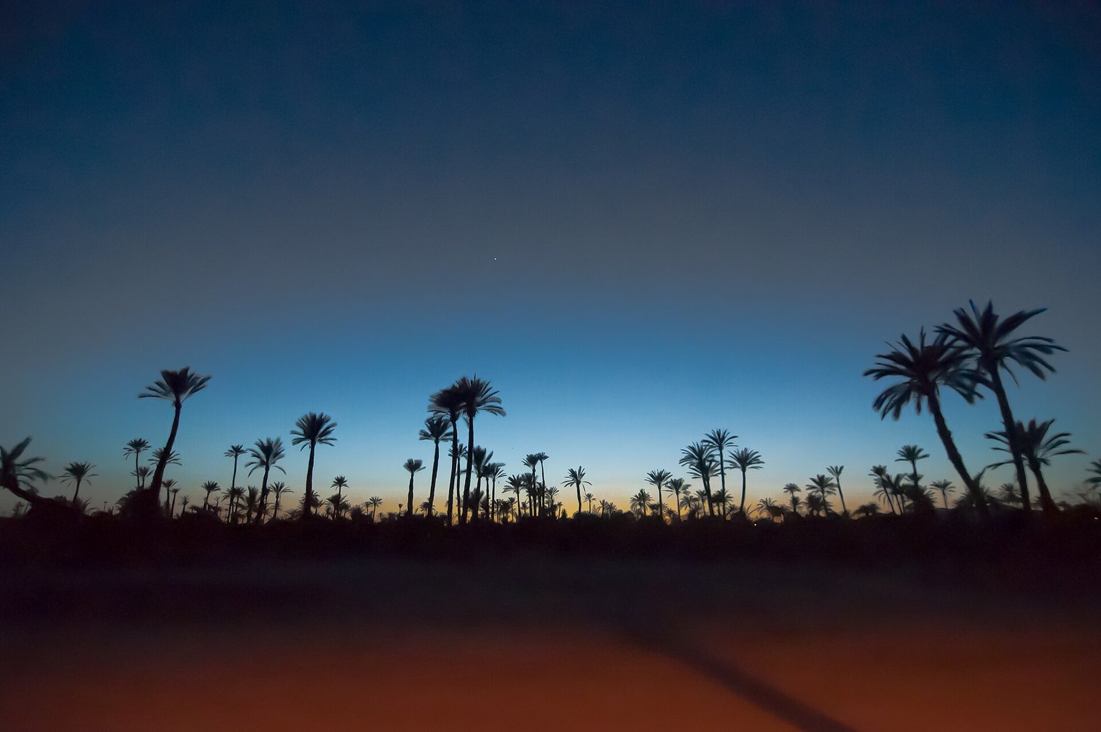 The Palmeraie at dusk