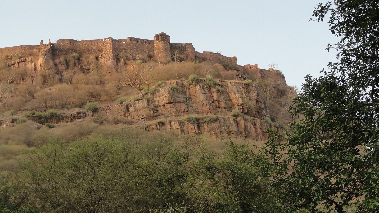 Ranthambore Fort seen from the national park