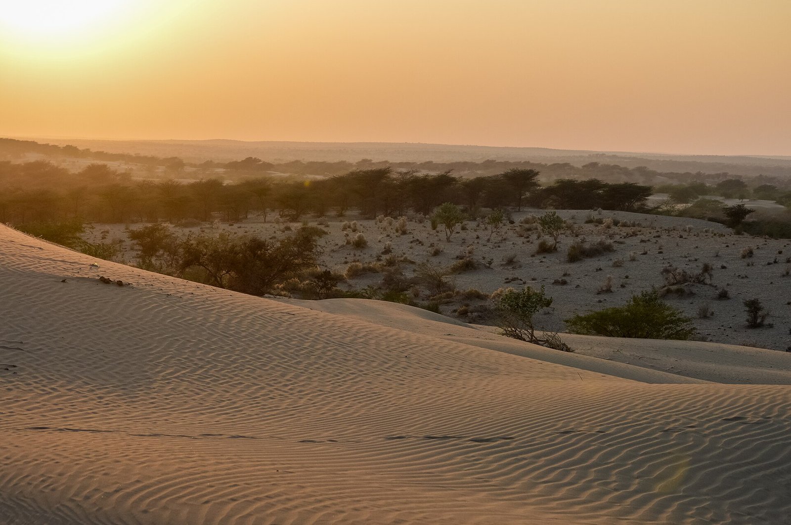 Sand dunes at sunset outside Jaisalmer