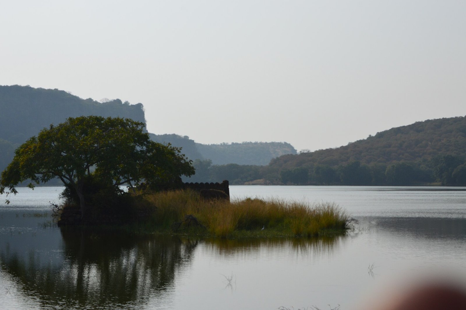 Padam Talao lake, Ranthambore National Park